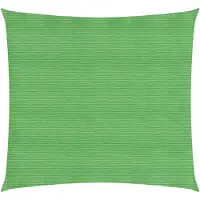 vidaXL Voile d'ombrage 160 g/m² vert clair 4x4 m HDPE