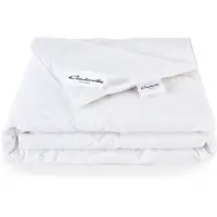 Cinderella All Year Couette Cinderella Lounge Coton-240 x 220 cm