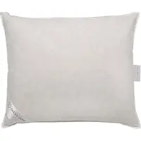 Ducky Dons Oreiller Ducky Dons Plumes de Canard 1700 g (60 x 70 cm)