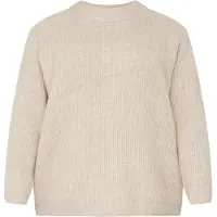 ONLY Carmakoma Pull-over pierre