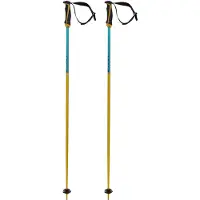 Völkl Phantastick 16 Mm Poles Doré 125 cm