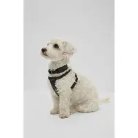BOSS Harnais pour chien en cuir recyclé