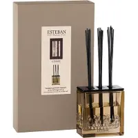 Esteban Bouquet parfumé Triptyque - Cèdre - TS