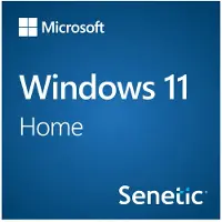 Microsoft Windows 11 Home - Licence - 1 licence - téléchargement - 64 bits, National Retail - toutes les langues