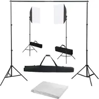 vidaXL Kit de studio photo avec boîtes à lumière et toile de fond