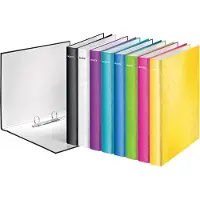 Leitz Classeur à anneaux (A4, 40 mm, 10 pcs)