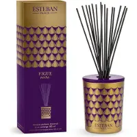 Esteban Bouquet parfume décoratif avec recharge Figue noire 100 ml