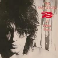 Proper Mainland Europe The Waterboys - Pagan Place [Compact Discs]