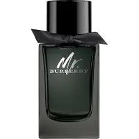Burberry Mr. EDP 30 ml