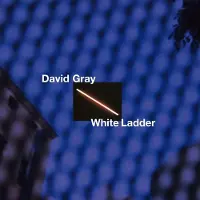Cd White Ladder - Dlx