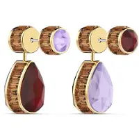 Swarovski Chroma Earrings Doré Femme