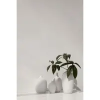 Blomus Vase Blomus Ceola Nomad 21 cm