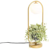 QAZQA Lampe de table Art déco dorée avec verre blanc - Isabella