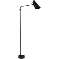 Northern Lampadaire , Birdy Swing, Noir, Salon / séjour, Métal, Design