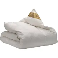 Ten Cate Couette - Couette 140 x 200 - Couette en duvet - Couettes - Couette 4 saisons 140x200 - 90% duvet d'oie - Couette été & hiver