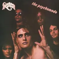Import The psychomodo