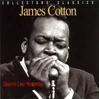 Nettwerk Music Group Seems Like Yesterday - Collectors Classics Cotton,James