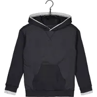Adidas Sweat à Capuche All Szn Pullover