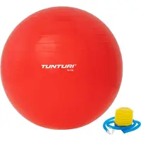Tunturi Gym Ball Fitball Rouge 65 cm