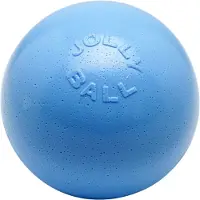 Jolly Pets Balle Bounce-n Play