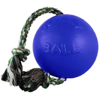 Jolly Balle pour chiens Romp-n-Roll 10 cm Bleu