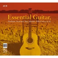 Berlin Essential guitar