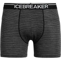 Icebreaker Sous-vêtements de sport 'Anatomica' gris