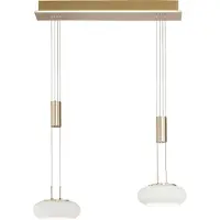Paul Neuhaus Lampe suspendue 2 lumières Q-Etienne laiton