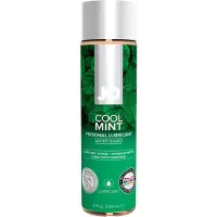 System Jo H2O STRAWBERRY gel lubrifiant aromatisé 120 ml