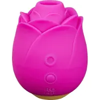 ROMP Rose - stimulateur clitoridien à ondes d'air - silicone rose