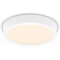 Philips LED Spot à encastrer Slim Surface DL252 12W 2700K rond, blanc