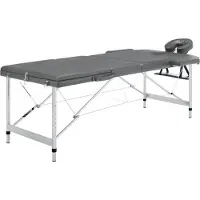 vidaXL Table de massage 3 zones Cadre en aluminium Anthracite 186x68cm