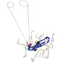 Kikkerland Mxykikker Wind Up (1504)
