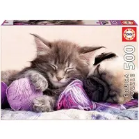 Educa Puzzle 500 pièces Dream Companion 17644