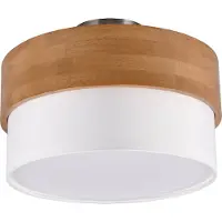 TRIO Plafond Plafond moderne SEASONS argenté 611500201