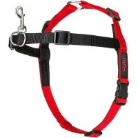 Halti Harnais Front Control noir/rouge, taille : S
