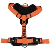 Nayeco Harnais Cronos Neon Flash Orange Visibilité Et Sécurité Nocturne -