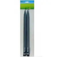 Campking Lot de 10 piquets de tente de 30 cm