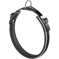 Ferplast Ergocomfort C25/55 Dog Collar Argenté