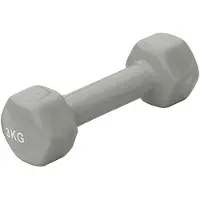 Sporti France Vinyl 3kg Dumbbell 2 Units Argenté 3 kg