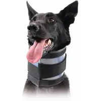 Kvp Collier De Chien Bite Free