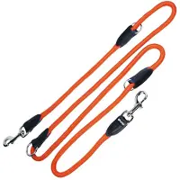 Gloria Laisse Pour Chien Multiposition Training