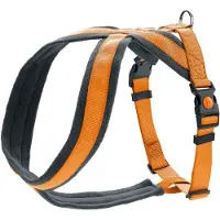 Hunter Harnais pour chien Hunter London Comfort Orange S/M 52-62 cm