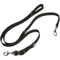 Gloria Laisse Pour Chien Multi Oasis