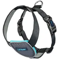 Company of animals Harnais Pour Chien Carsafe Travel Dog