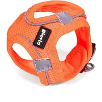 Gloria Harnais pour chien Air Mesh Trek Star Réglable Orange L (33,4-35 cm)