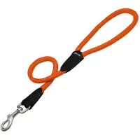 Gloria Laisse Pour Chien S6100797