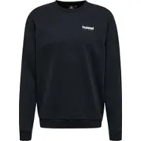 Hummel Sweat de sport 'Austin' | L | male