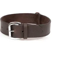 Gloria Collier De Chien Dog