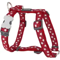 Red Dingo Harnais Pour Chien Style Star
